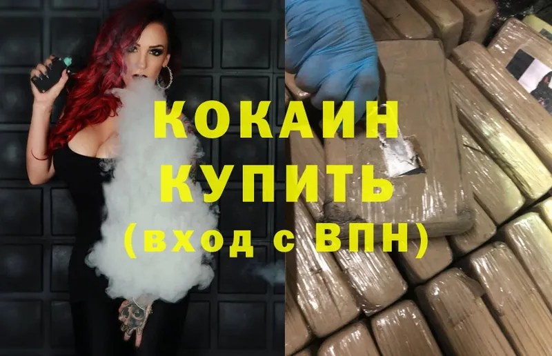 КОКАИН Fish Scale  где можно купить   Нижнеудинск 