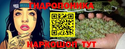 хмурый Берёзовский