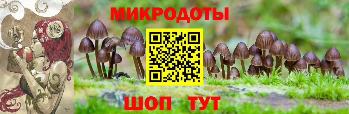 Галлюциногенные грибы Psilocybine cubensis Нижнеудинск